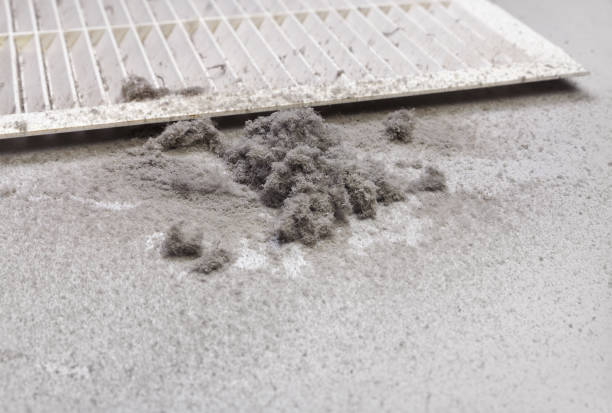 Best Affordable Air Duct Cleaning  in South Pasadena, CA